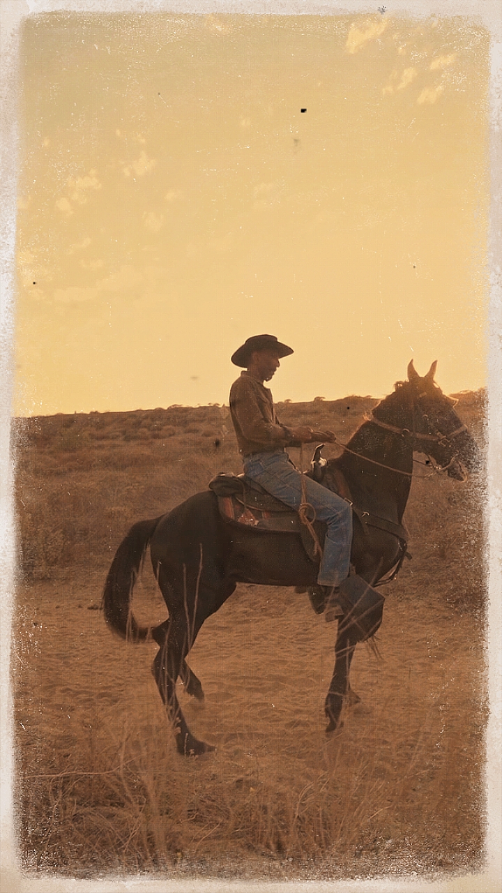 Ocidentais cowboy 