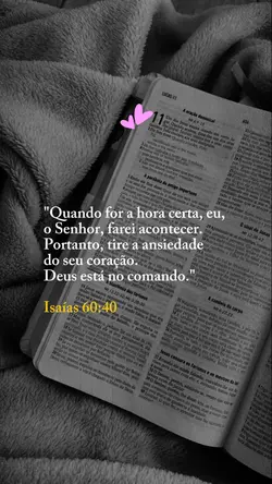 Isaías 60:40