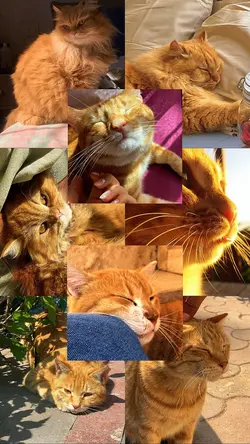 7 Pics Templates