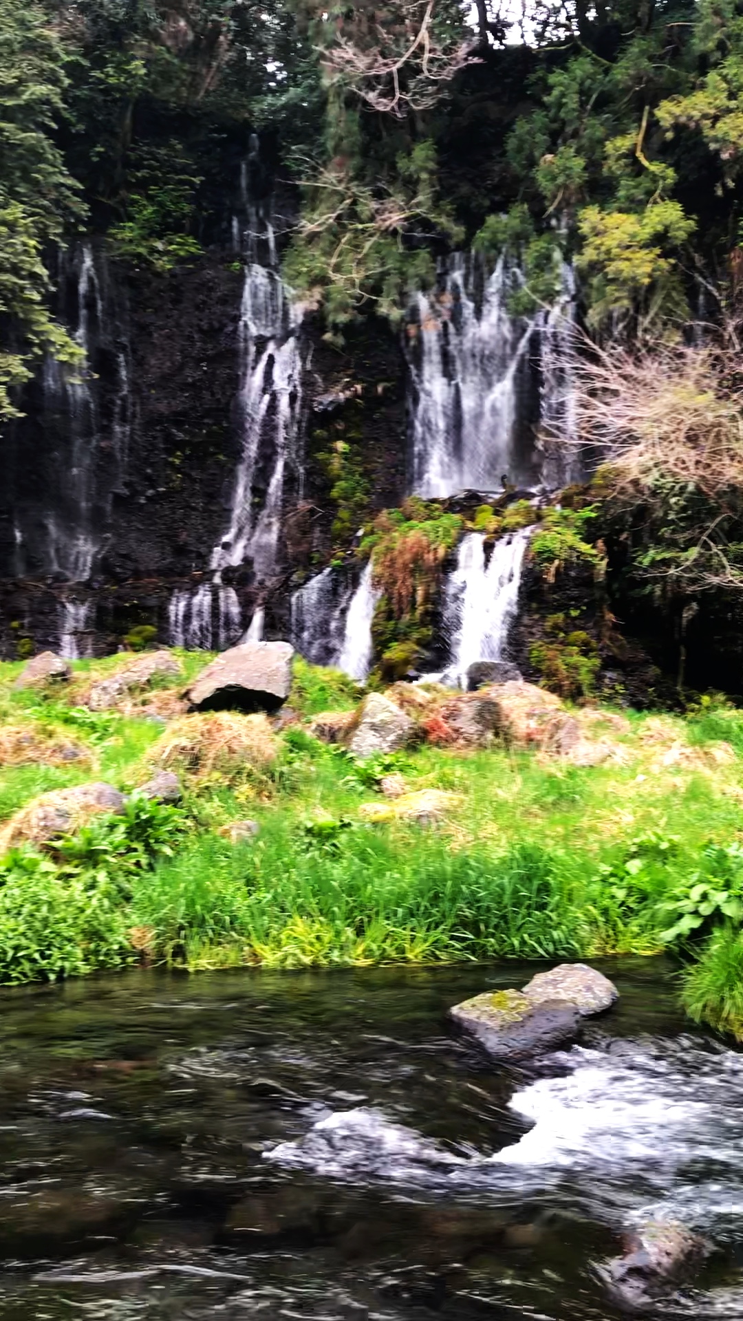 Nature