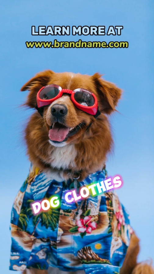 Affichage de vêtements pour chiens style tik tok