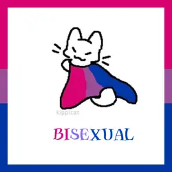 el itmo bisexual 