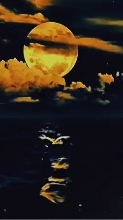 Good Night 2024🌙