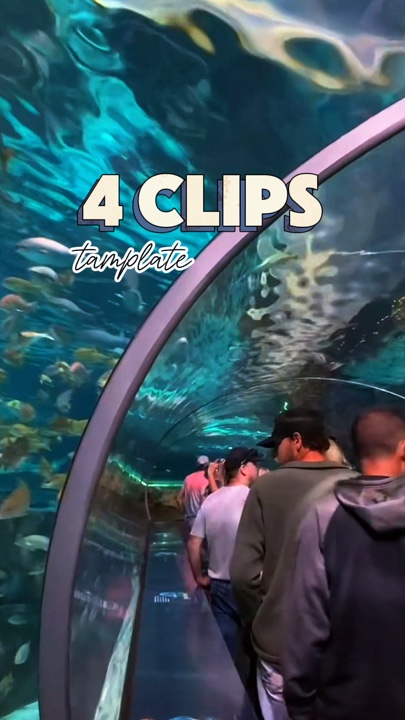 4 video or photo 