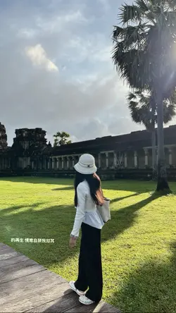 🦩
