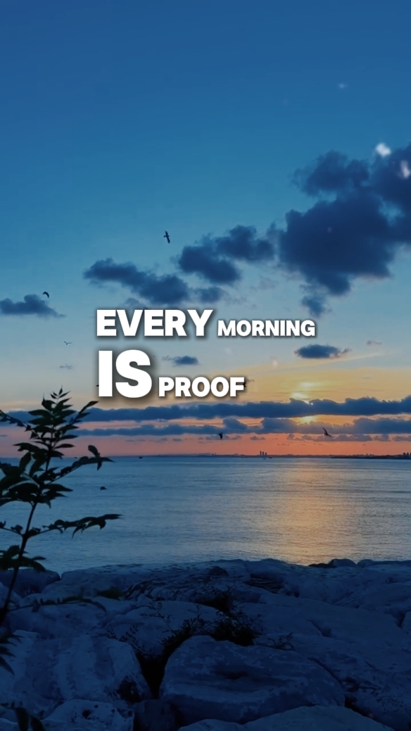 Jeden Morgen
