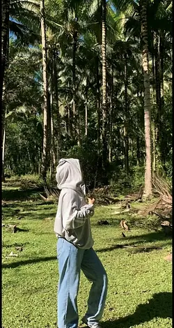 lingkat sin halaman