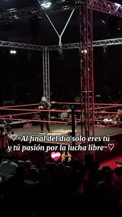 Lucha libre ~○