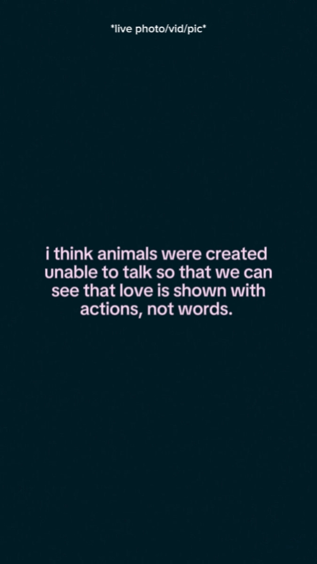 Creo que los animales eran
