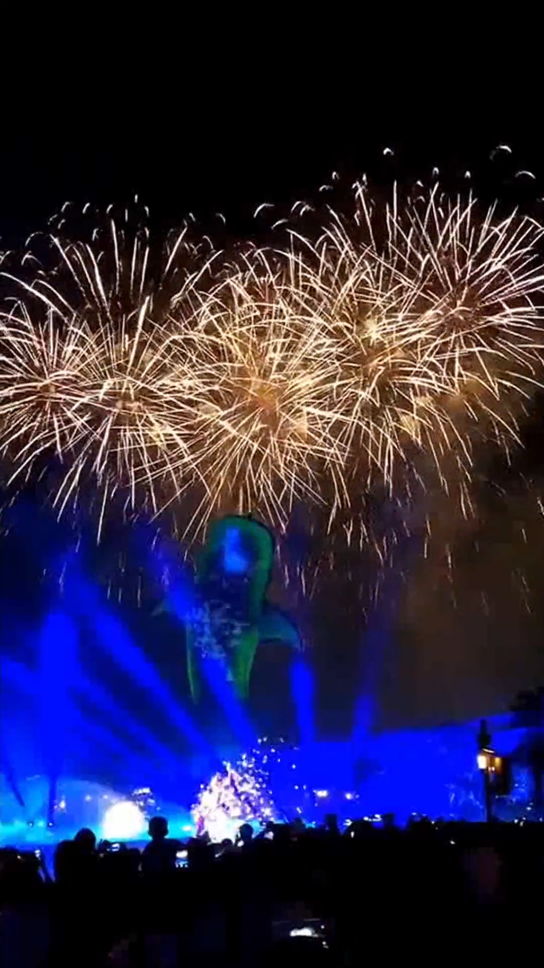 Vlo de fête