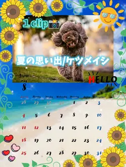 8月カレンダー①