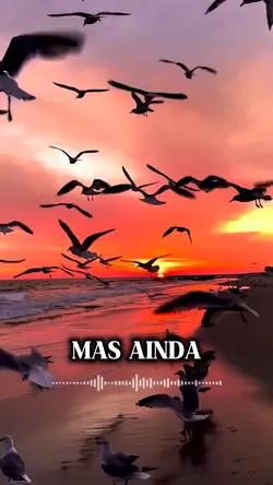árvore cortada 
