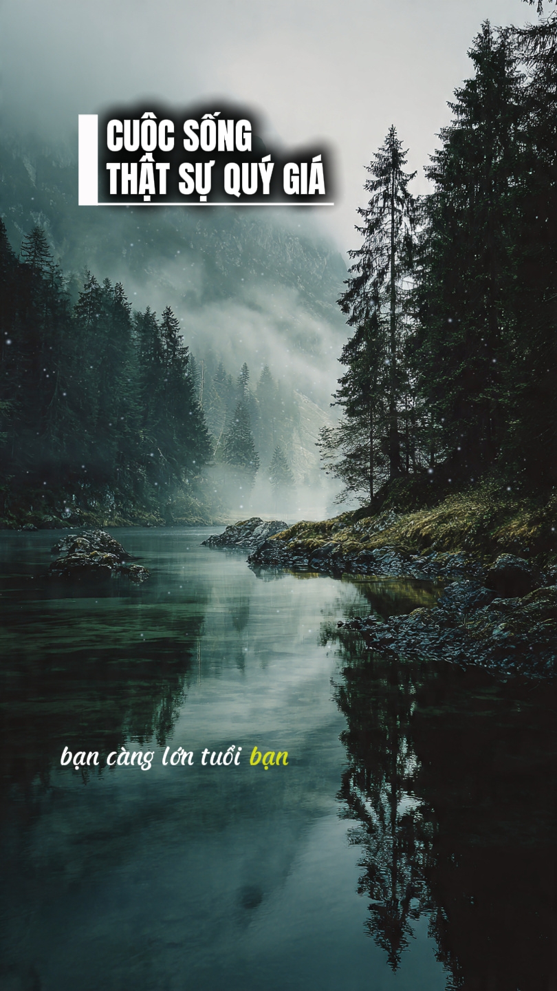Cuộc sống quý giá 