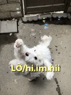 Tôi mong em sẽ luôn