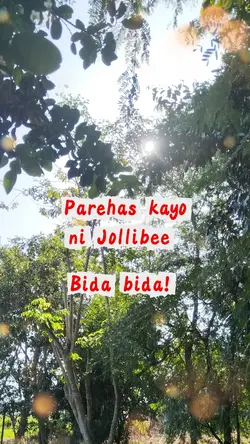 Bida bida