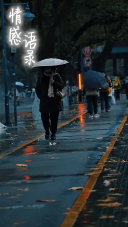 情感语录