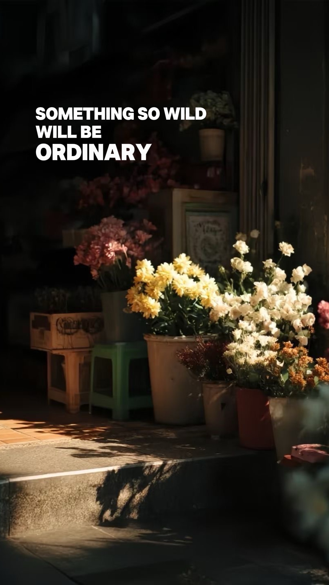 Ordinary 🎵 1 ảnh 
