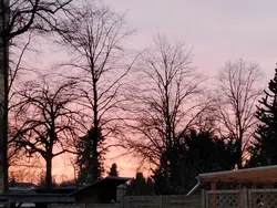 Woche