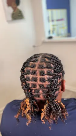 Starter Locs