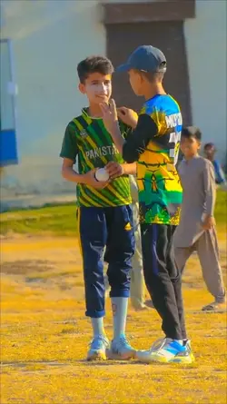 Cricket lover