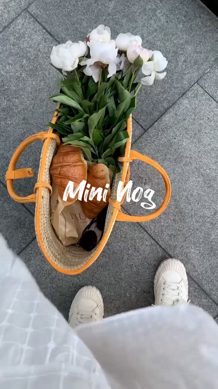 Mini Vlog