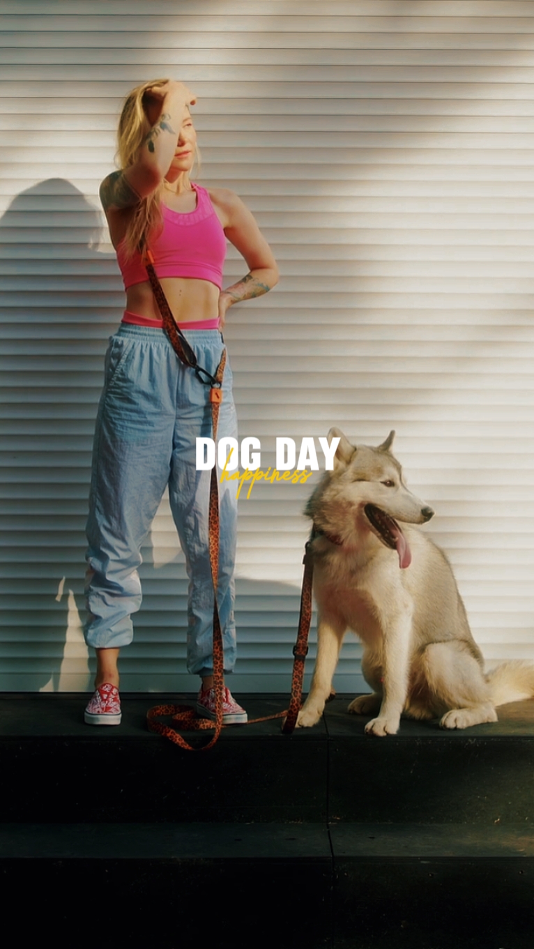 Dias de cachorro