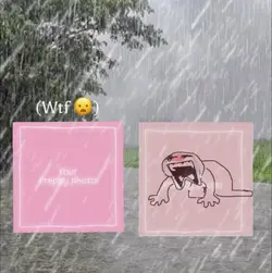 The rain fr 😔