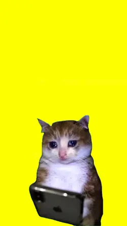 chora não