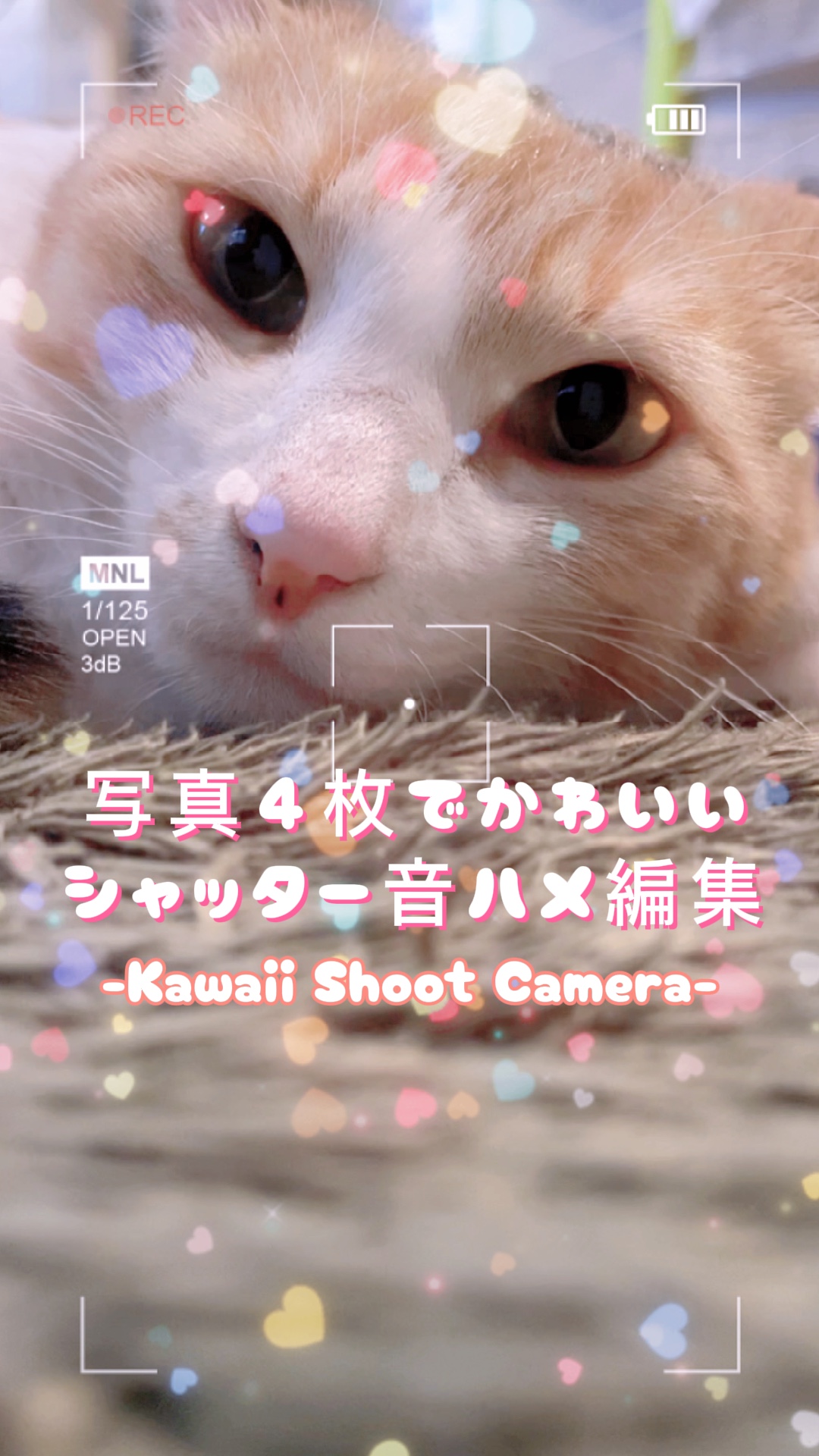 写真４枚で💕かわいいシャッター音ハメ編集