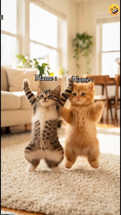Süße Katze '