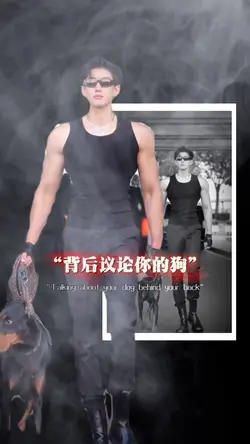 背後議論你的狗什麼品種都有