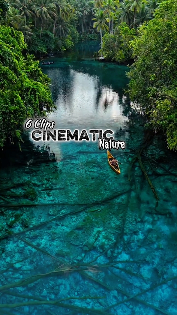 Cinématique 6 Clips 