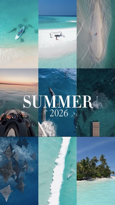 SUMMER 2026