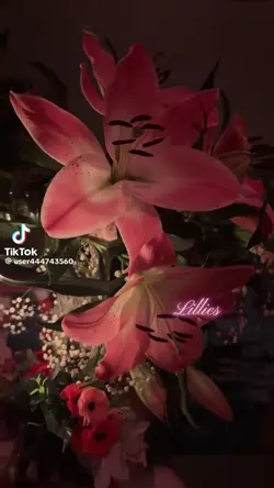 fave flower
