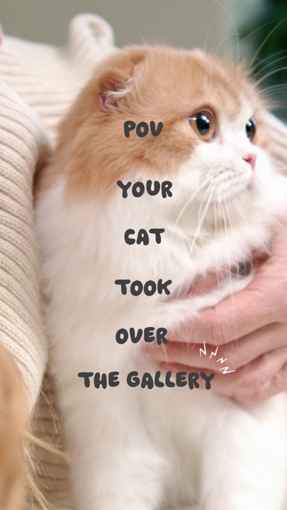 Chat dans la galerie