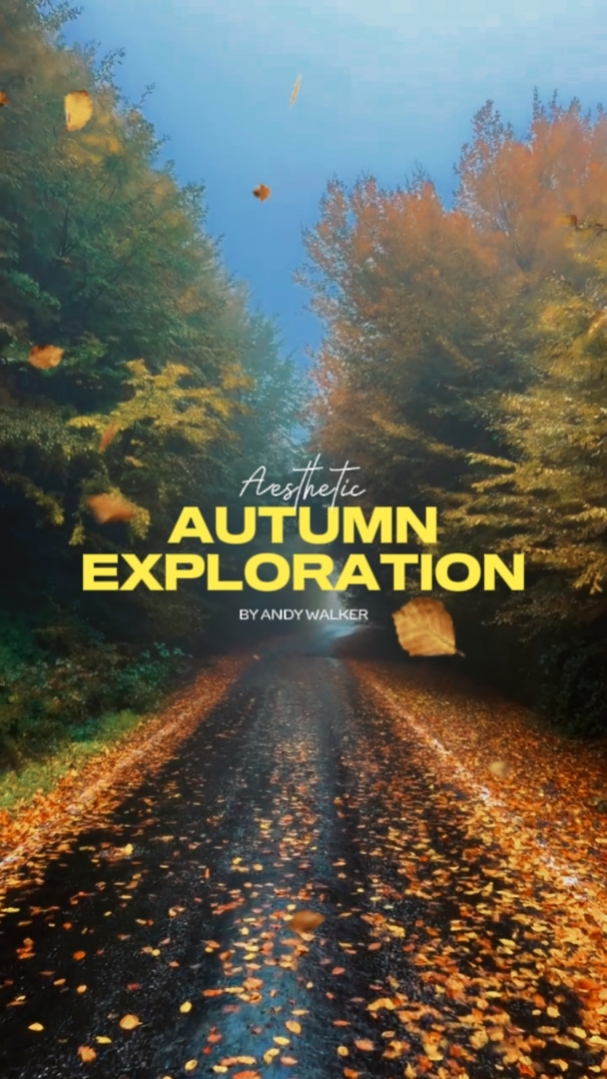 Autumn Exploration