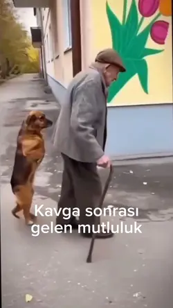 Trend video