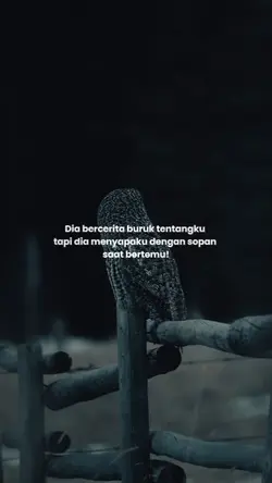 Bahan sw