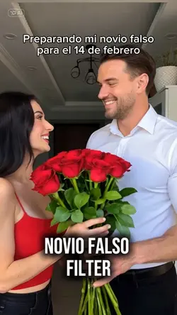 Novio Falso