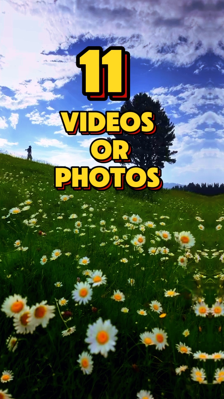 11 Videos Or Photos