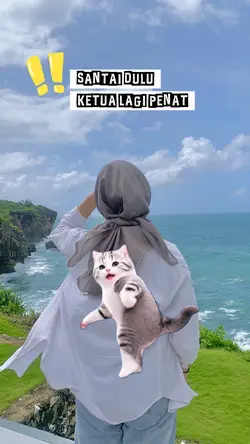 Kucing joget lucu