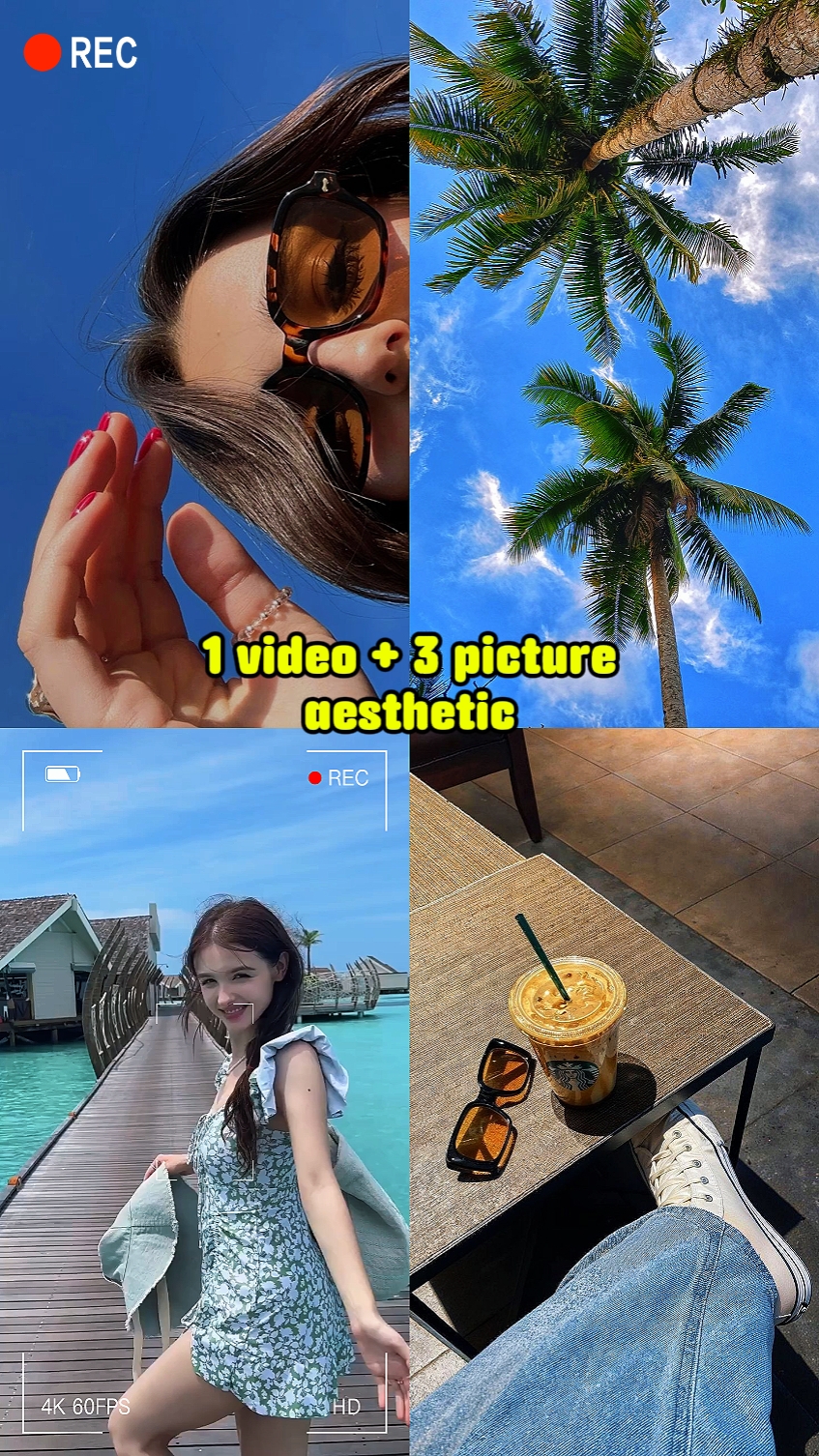 1 vidéo + 3 photos