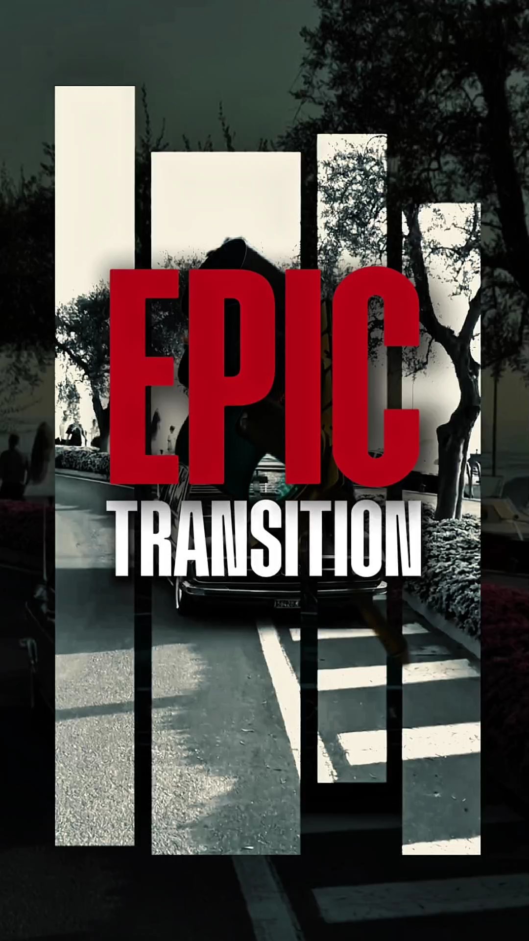 TRANSICIÓN ÉPICA 