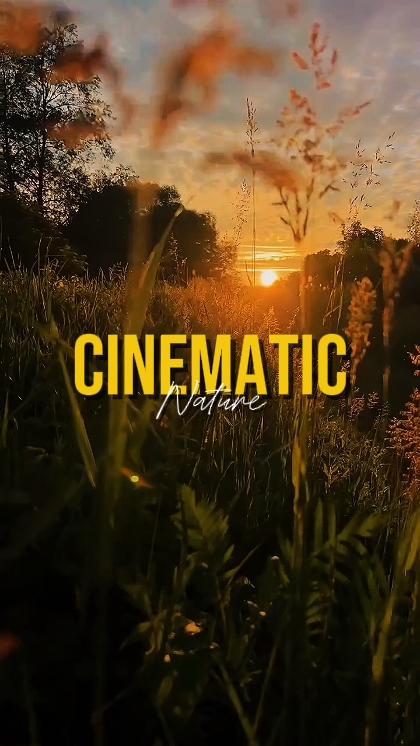 NATURE CINÉMATIQUE