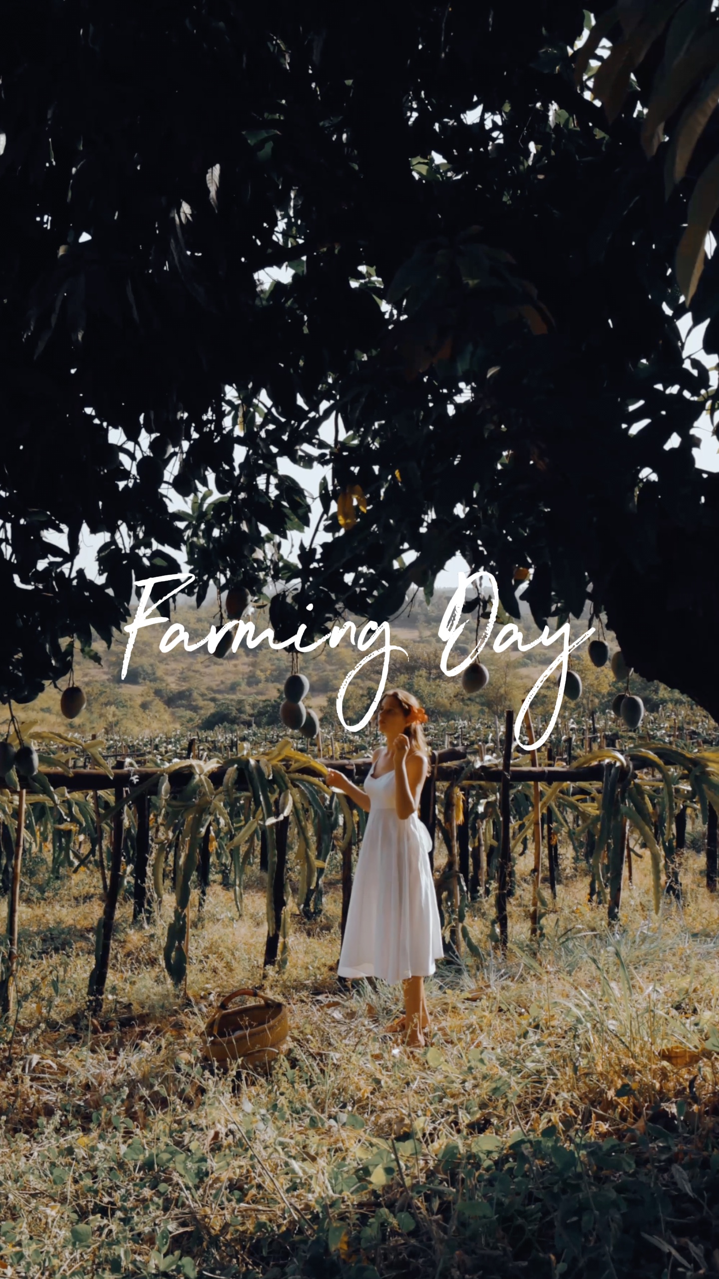 Farming Day