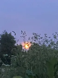 Blood Moon