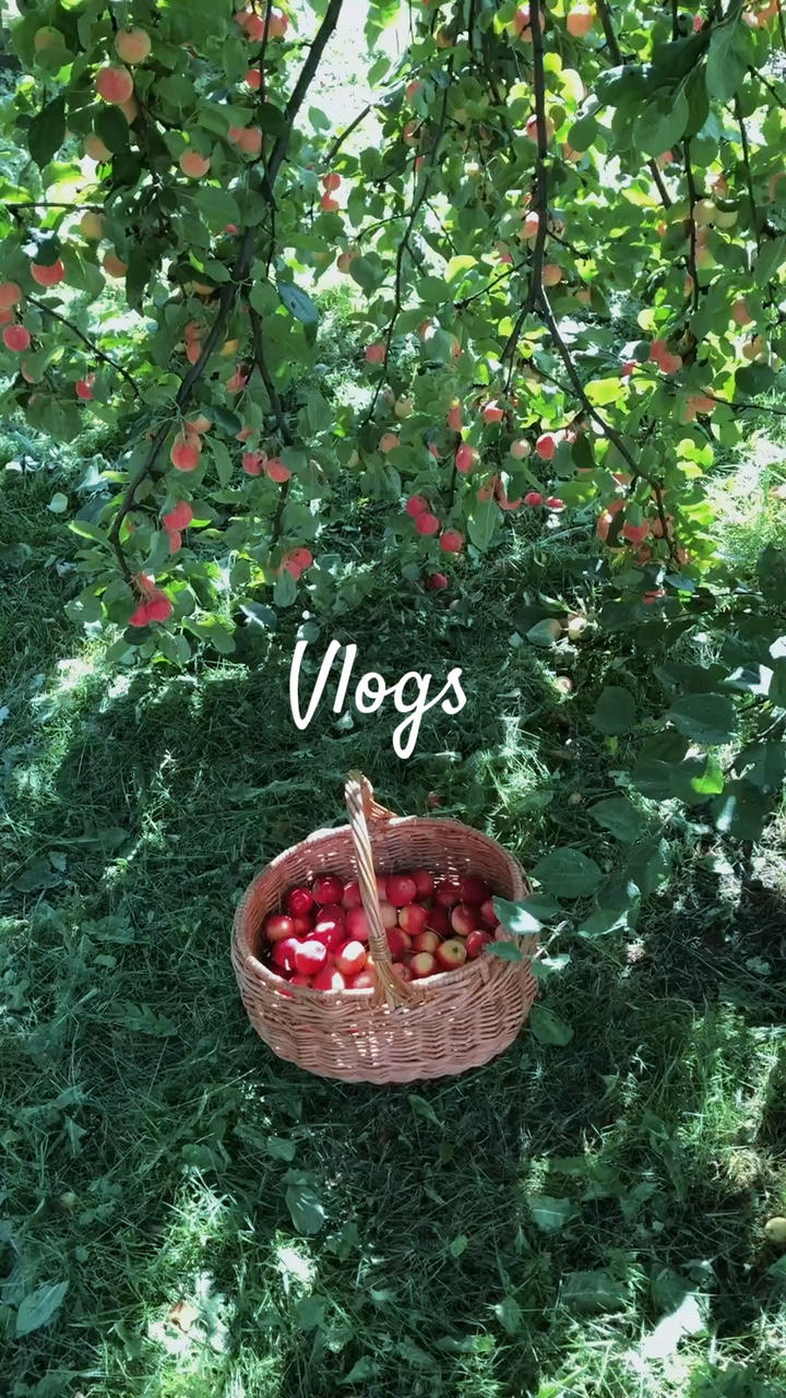 vlog 4 video 