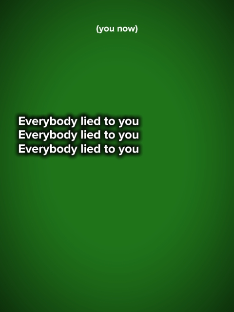 everybody lied toyou