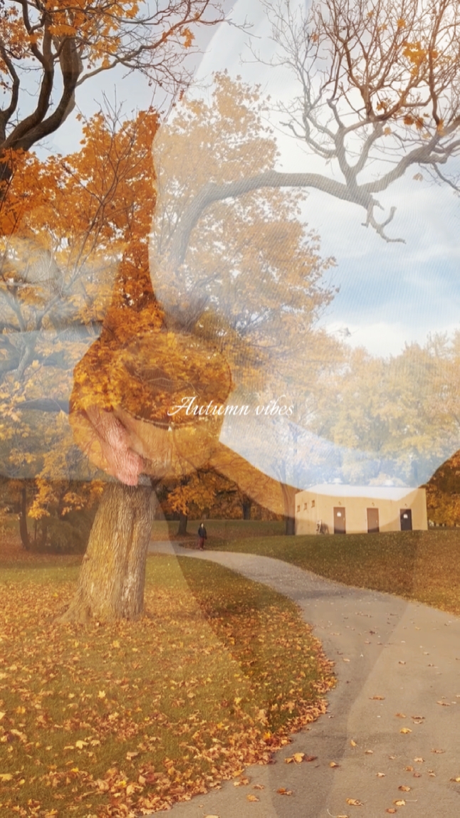 Ambiance d'automne