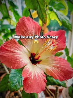Make any Photo scary